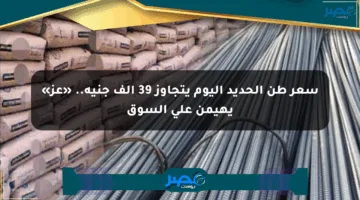 سعر طن الحديد اليوم يتجاوز 39 ألف جنيه.. «عز» يهيمن على السوق